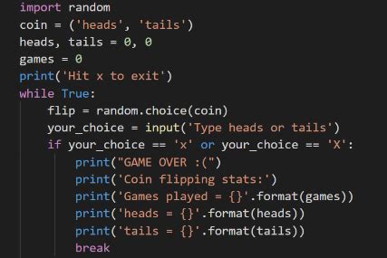 what is infinite loop in python class 8