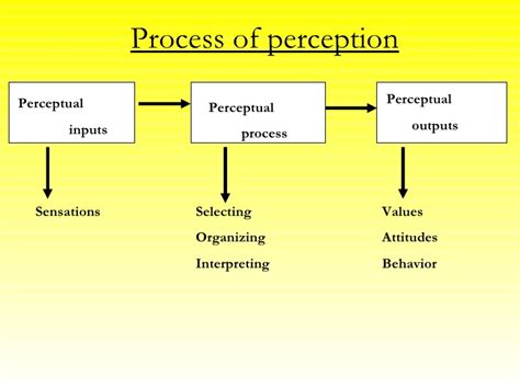 what is information processing how does it differ from perception