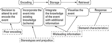 what is information processing model in psychology