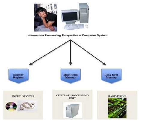 what is information processing system in computer science