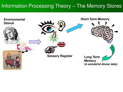 what is information processing theory in psychology
