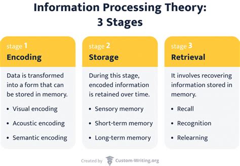 what is information processing theory of learning