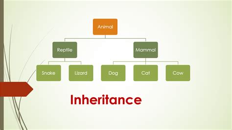 what is inheritance in c++ programming