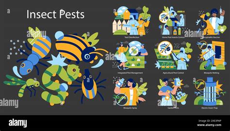 What Is Insect Pest Control