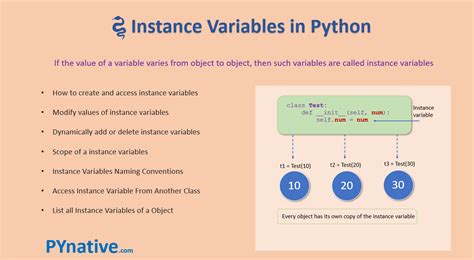what is instance in python with example
