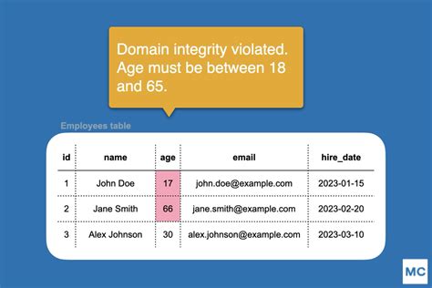 what is integrity in database