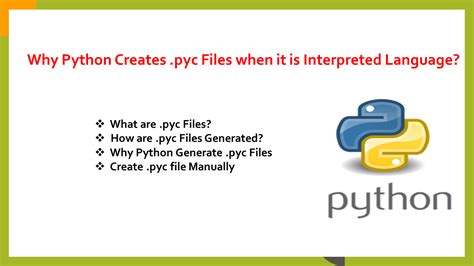 what is interpreted programming language in python