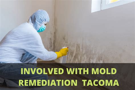 what is involved in mold remediation