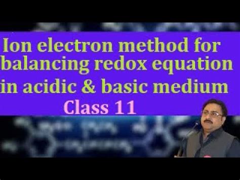 what is ion electron method class 11