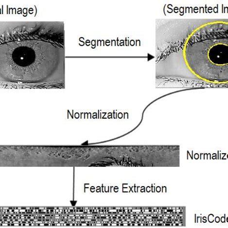 what is iris code