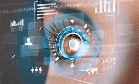 what is iris in information technology