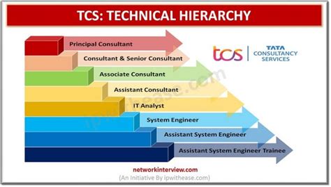 what is it analyst in tcs