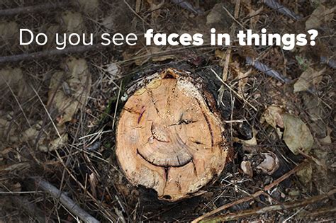 what is it called when you see faces in everyday objects