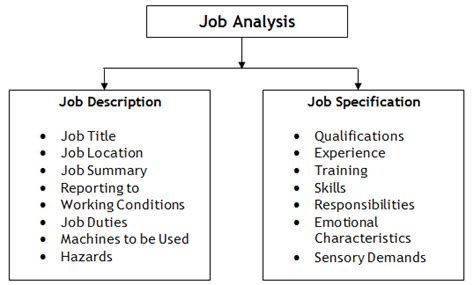 what is job specification in hrm with example