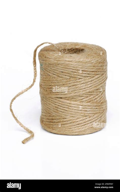 What Is Jute String Made From