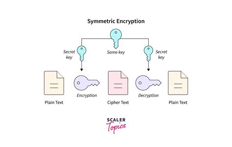This What Is Key In Encryption And Decryption For Male