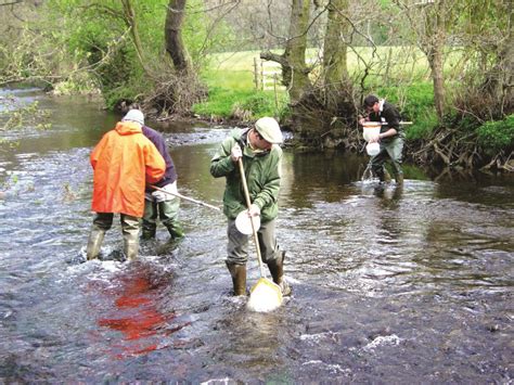 What Is Kick Sampling