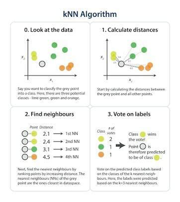 what is knn algorithm in data science