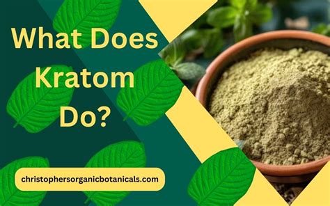 what is kratom look like
