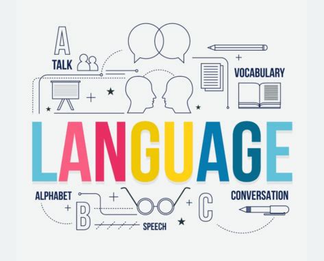 what is language study called