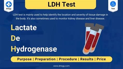 Understanding LDH: What is LDH in Medical Terms Explained
