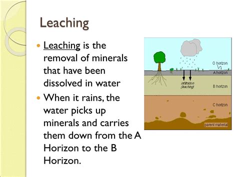 what is leaching in simple words