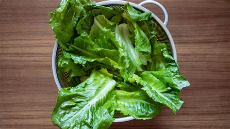 What Is Lettuce Rust