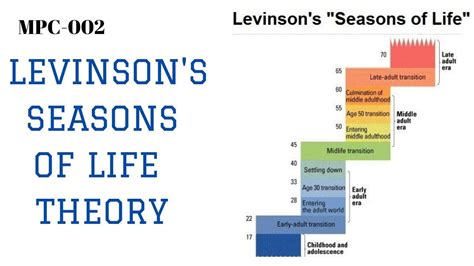 what is levinson theory