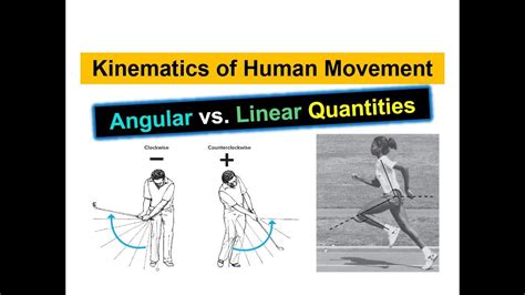 what is linear and angular kinematics