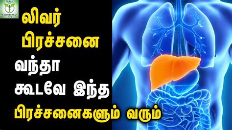 what is liver in tamil