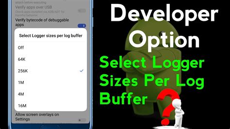 what is logger buffer size in developer mode