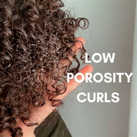 79 Ideas What Is Low Porosity Curly Hair For New Style