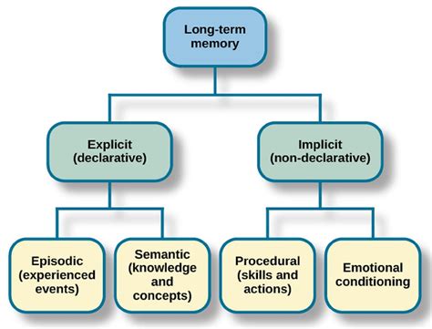 what is ltm in psychology