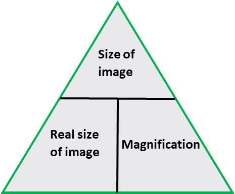 What Is Magnification Triangle