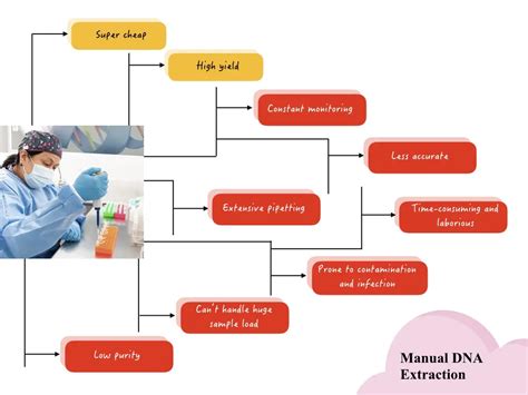 What Is Manual Extraction