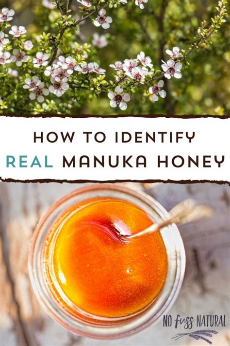 what is manuka honey made from