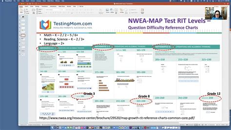 What Is Map Testing In Mn