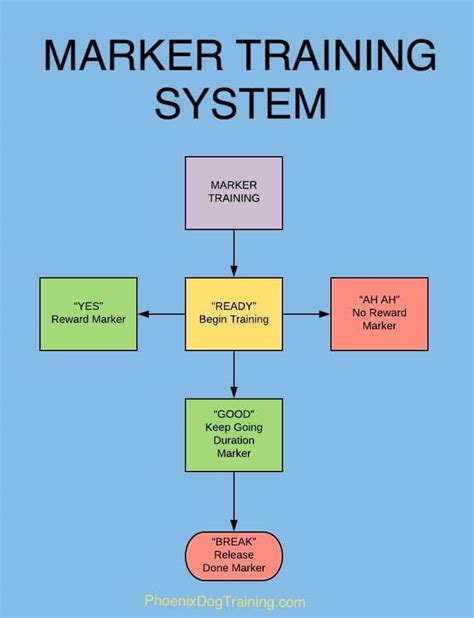What Is Marker Training