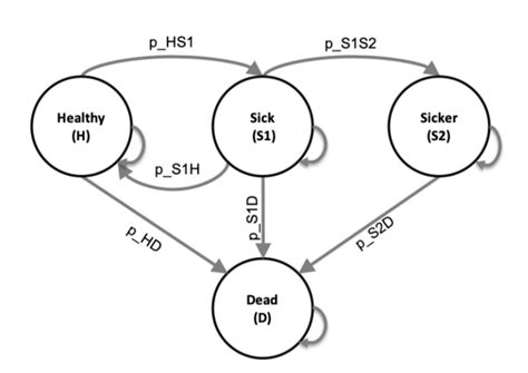 What Is Markov_Model In R