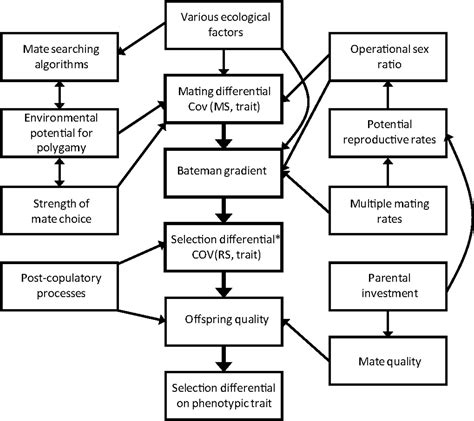 What Is Mate Selection