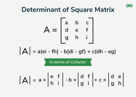 what is matrix and determinants