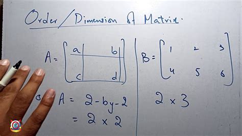 what is matrix mathematics class 8