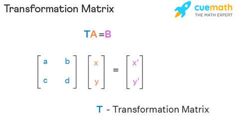 what is matrix transformation for example