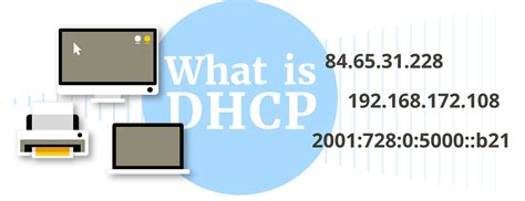 what is mean by dhcp