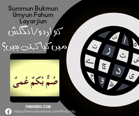 what is meaning of detect in urdu