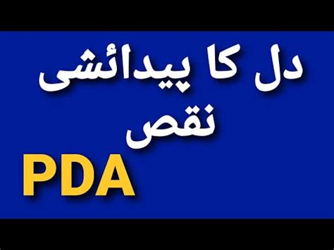 What Is Meaning Of Pda In Urdu