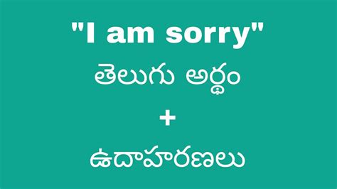 what is meaning sorry in telugu
