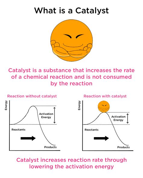 what is meant by catalyst