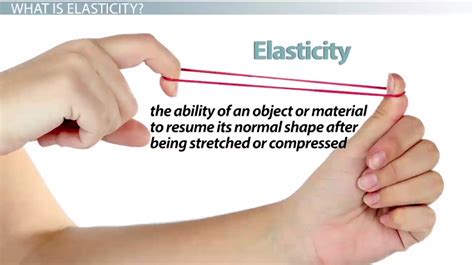 what is meant by elasticity in physics