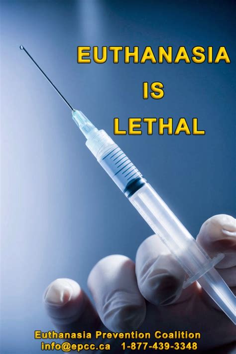 what is meant by euthanasia debate